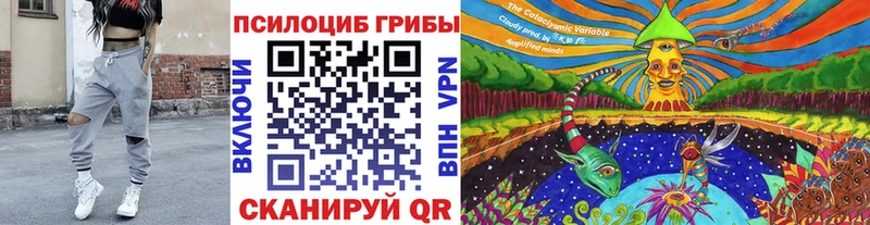 площадка клад  гидра онион  Мытищи  Псилоцибиновые грибы ЛСД 